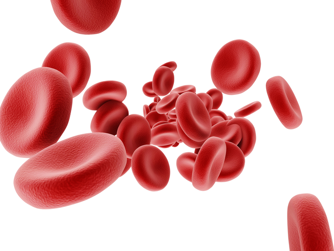 6 Important Facts About Our Blood