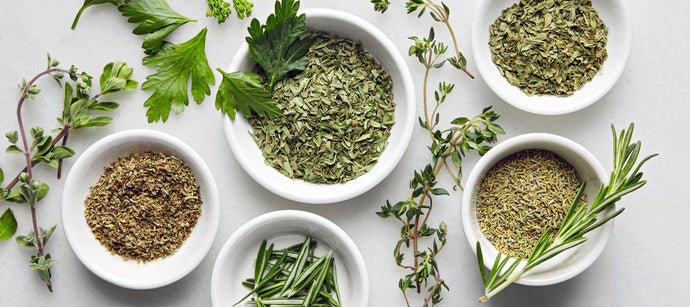 5 Herbal Supplements to Incorporate Into Your Daily Routine