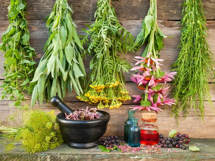 5 Benefits of Herbal Products