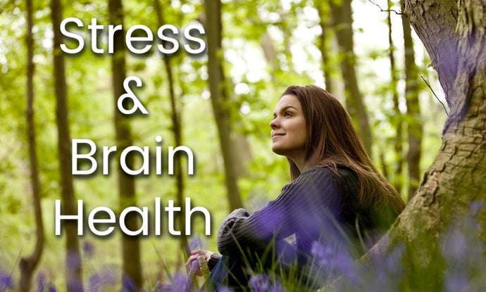 Stress & Brain Health