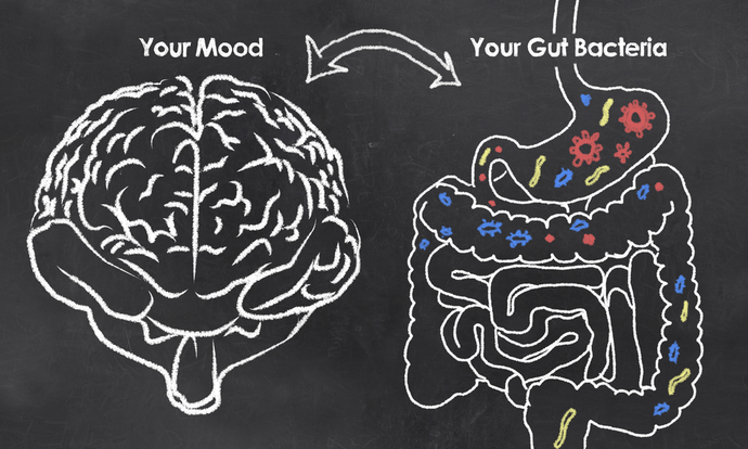 The Gut/Brain Connection